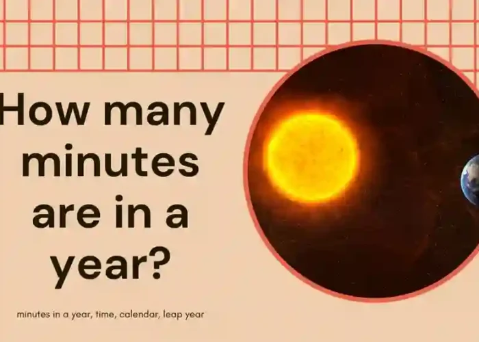 Minutes in a Year